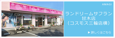 ランドリームサフラン甘木店