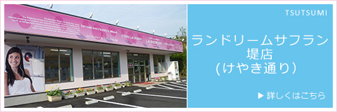 ランドリームサフラン堤店