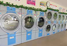 ランドリームサフラン堤店（けやき通り）